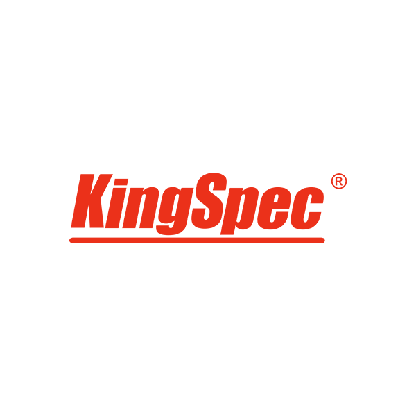 kingspec